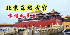 艹B网站中国北京-东城古宫旅游风景区